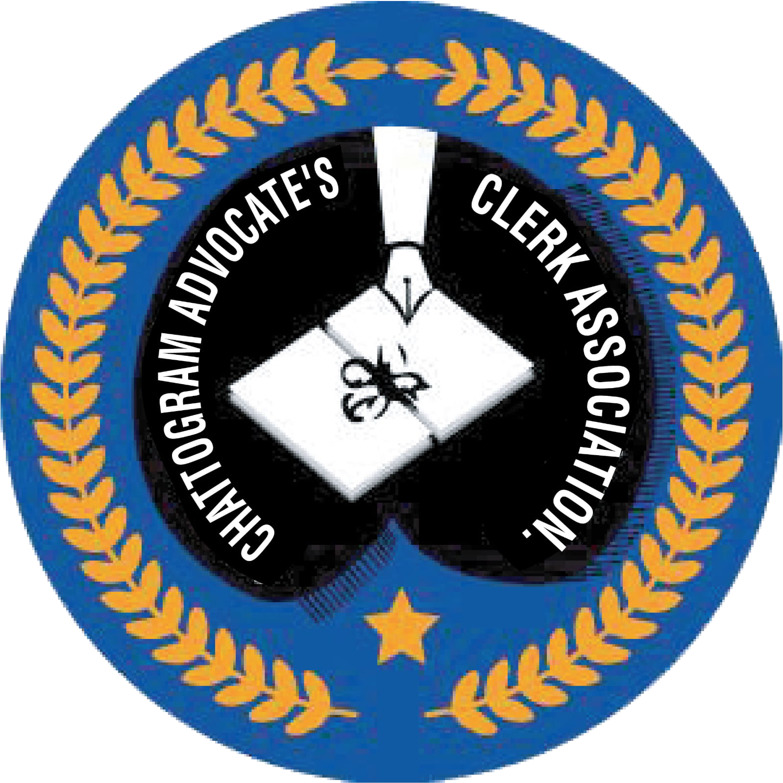 AMAS Logo